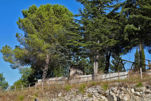 Tenuta Bosco Sicilia