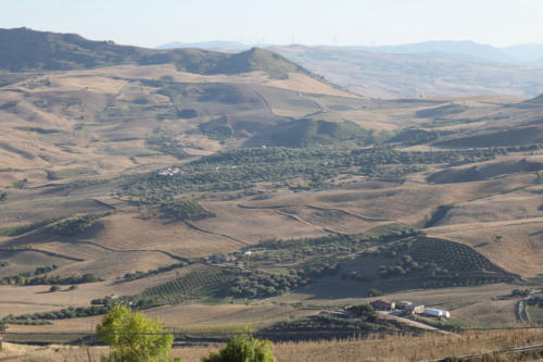 Tenuta Bosco Sicilia