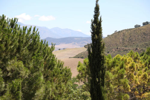 Tenuta Bosco Sicilia