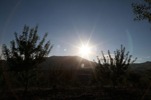 Tenuta Bosco Sicilia