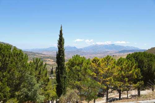 Tenuta Bosco Sicilia