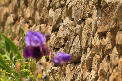 Tenuta Bosco Sicilia